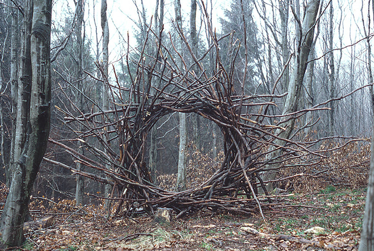 andy goldsworthy_woven_branch 