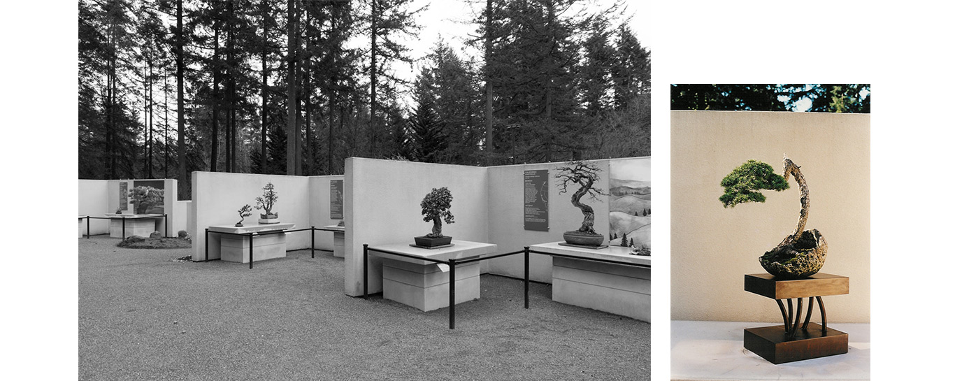 pacific_bonsai_museum