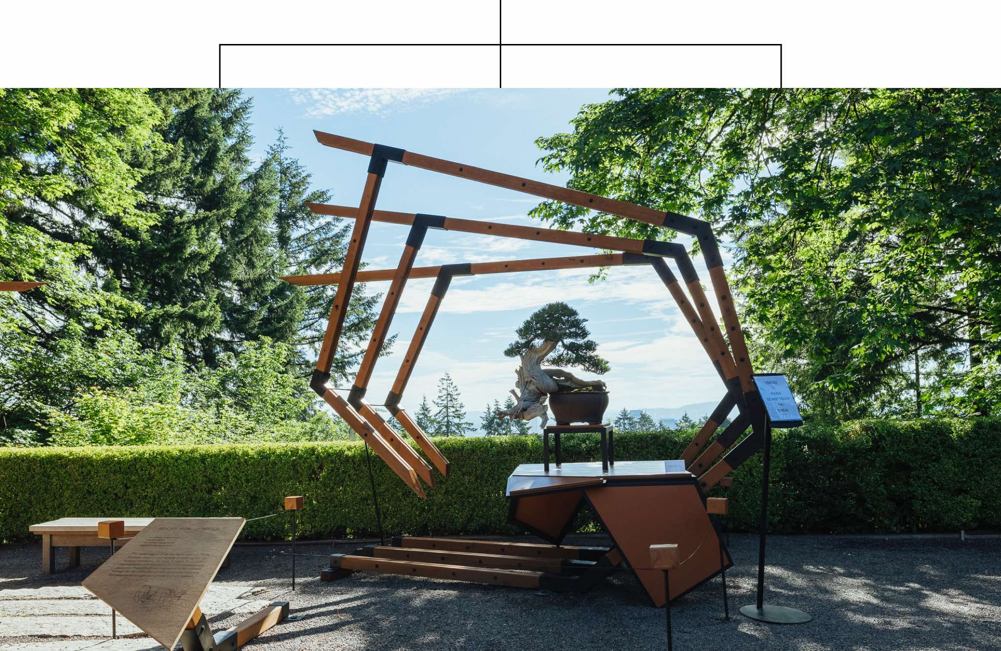 Ryan_Neil_Bonsai Exhibition_Portland_Japanese Gardens_Unbridled_Oregon_Art Show_Bonsai_Mirai