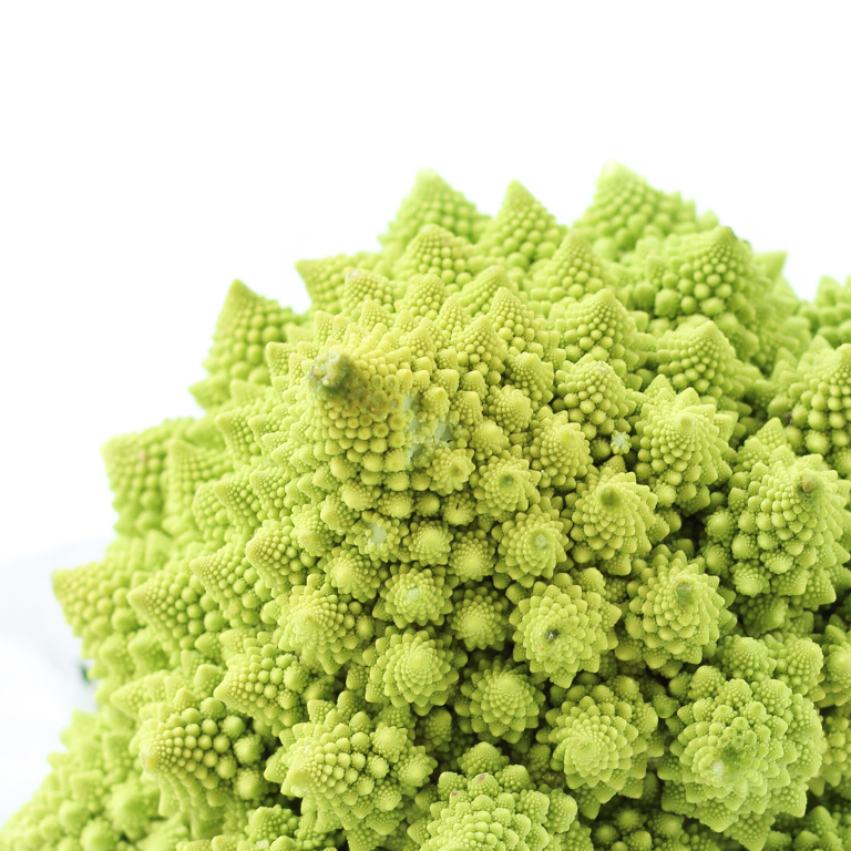 fractals_cauliflower_bonsai_mirai