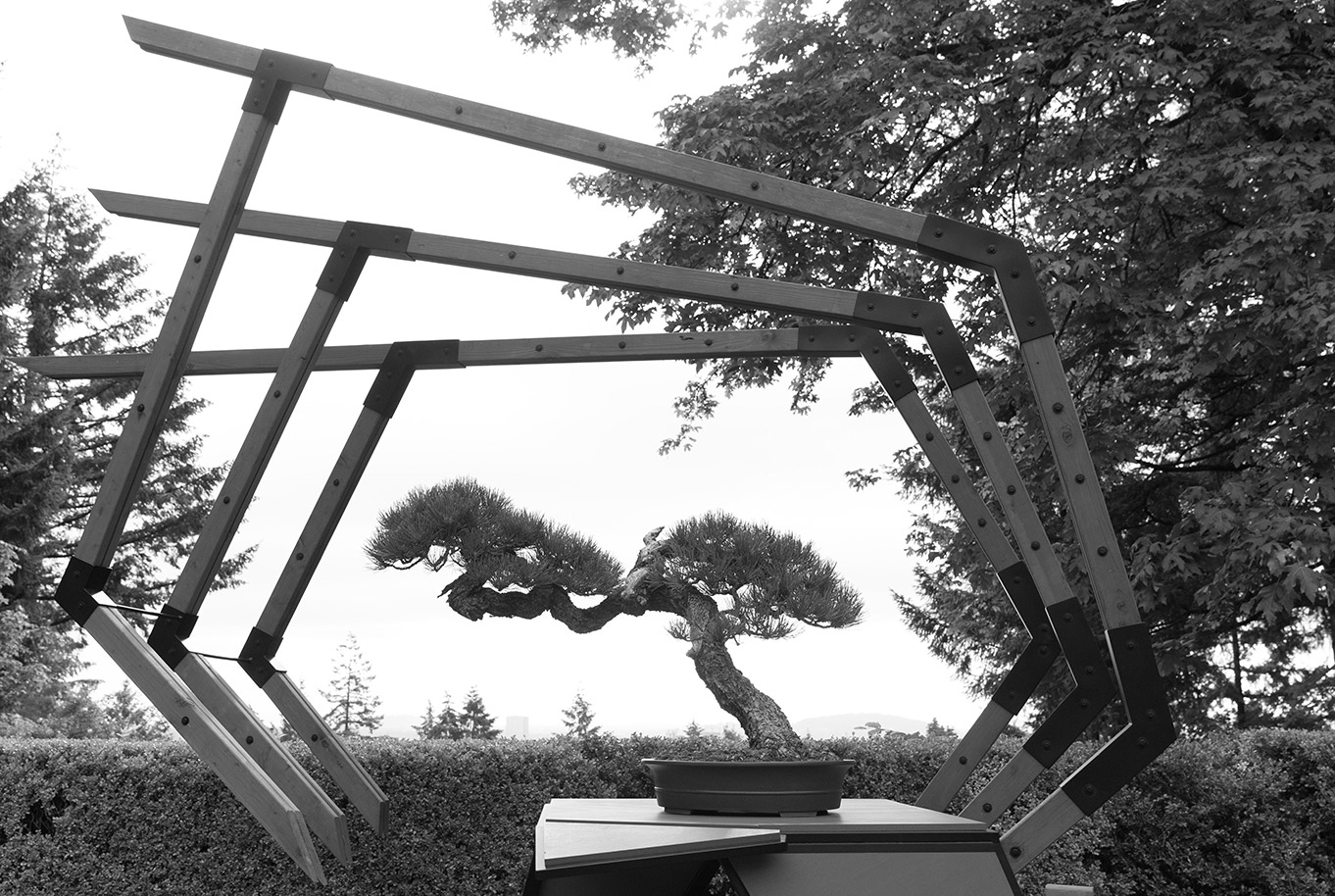 Japanese_gardens_ryan_neil_bonsai_ponderosa