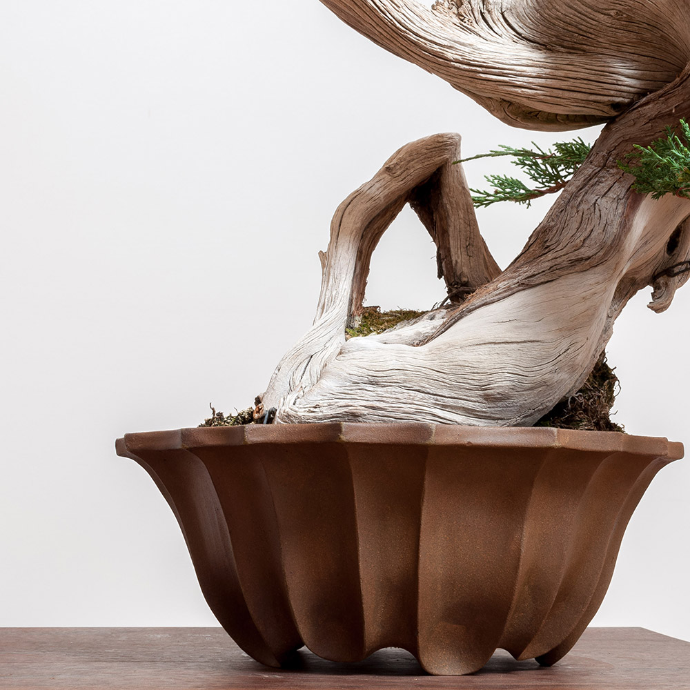 Tom_Benda_bonsai_ceramics_juniper